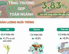 Báo Cáo Nông Nghiệp Việt Nam 2023