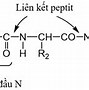 Cách Tính Protein Nạp Vào Cơ Thể