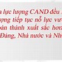 Chức Năng Của Công An Nhân Dân Việt Nam Là Gì