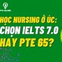 Đi Úc Diện Điều Dưỡng Ở Mỹ Là Gì