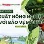 Nông Nghiệp Hữu Cơ Bến Tre 2023 Pdf Download