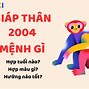 Tuổi Thân 2004 Hợp Màu Gì